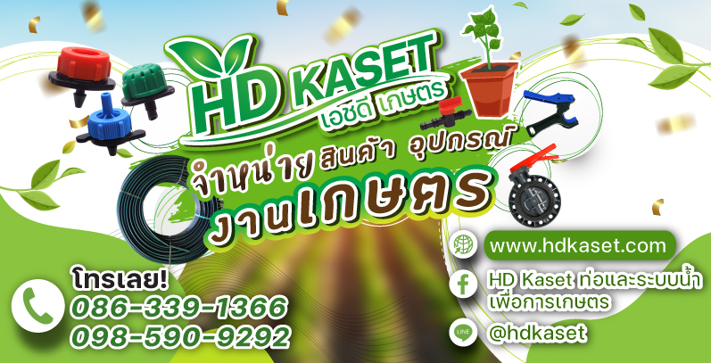 สั่งซื้อได้ที่ไหนบ้าง hd kaset ข้อต่อท่อ pe เกษตร