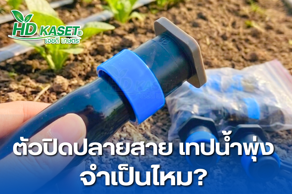 ตัวปิดปลายสายเทปน้ำพุ่ง