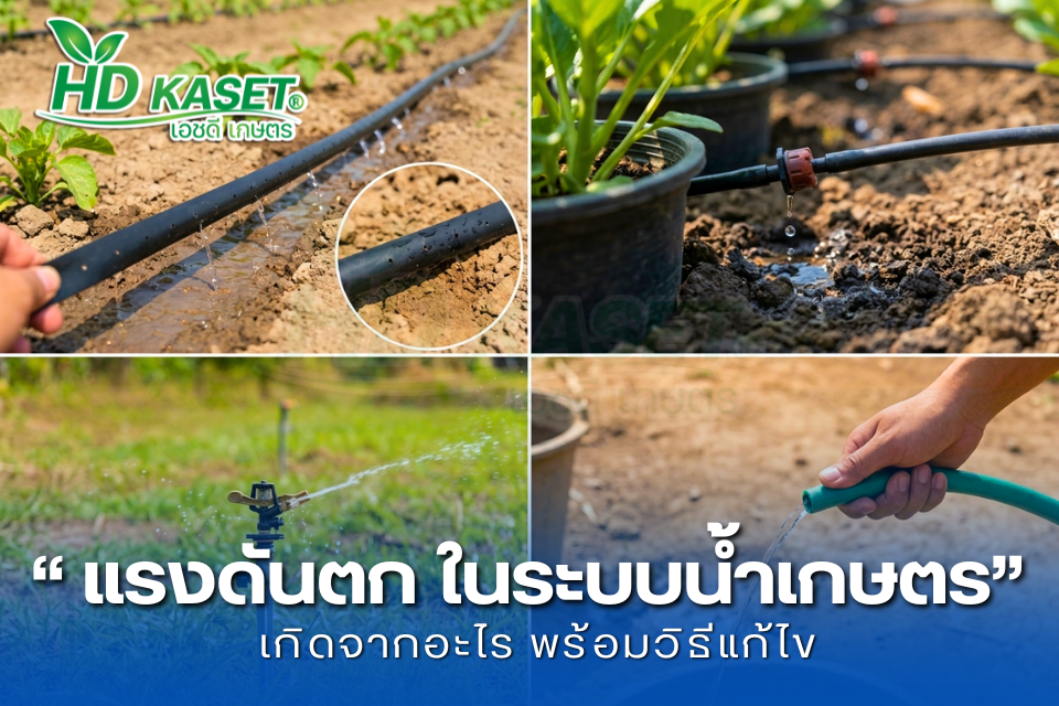 น้ำไหลเบา น้ำแรงดันตก