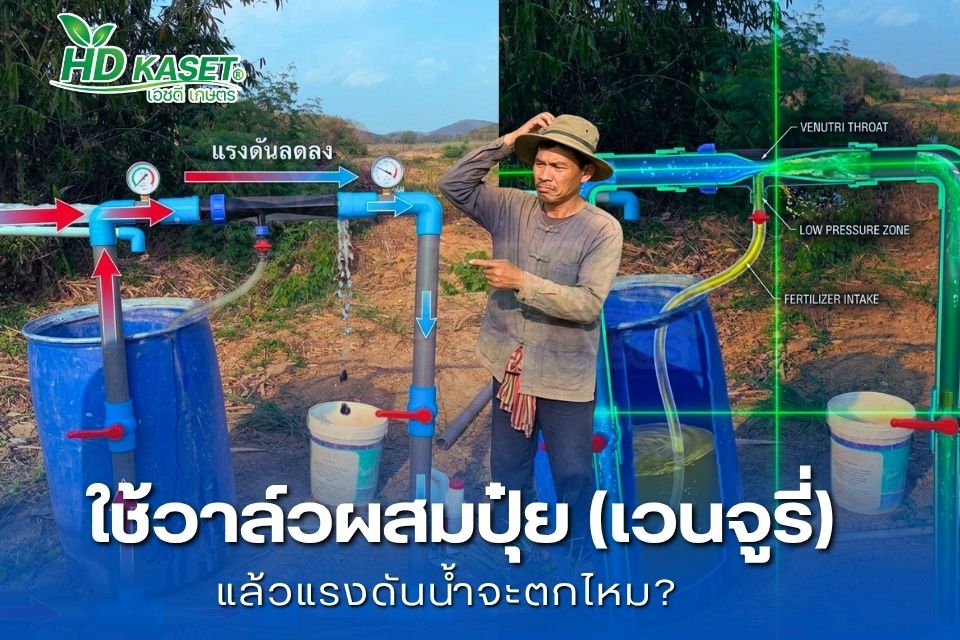 ใช้ เวนจูรี่ แล้วแรงดันน้ำจะตกไหม